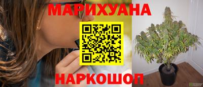 ГАЛЛЮЦИНОГЕННЫЕ ГРИБЫ Обнинск