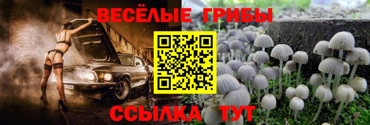 Сосновый Бор  COCAIN  Вход с VPN  Кодеин  МЕФ   ГАШ  Марихуана  Гашиш  Alpha PVP СОЛЬ  