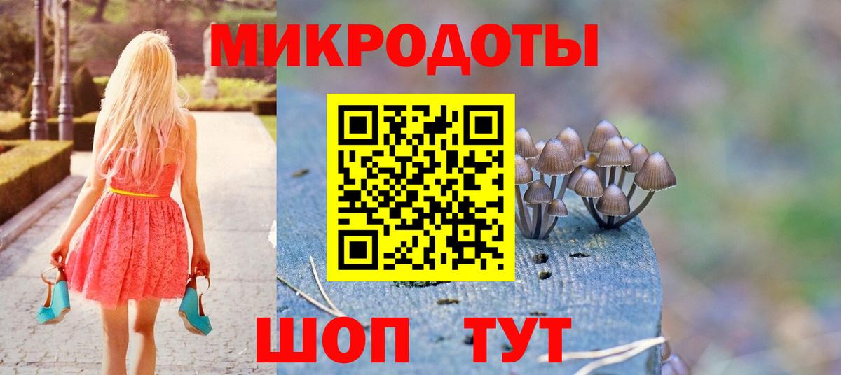 Сосновый Бор  Псилоцибиновые грибы Psilocybe  Вход с VPN  Псилоцибиновые грибы мухоморы 